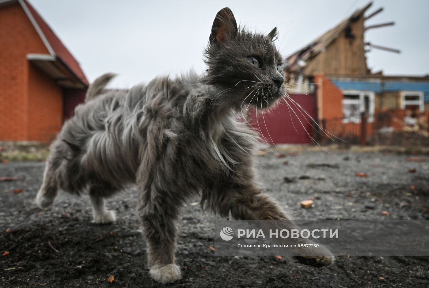 Освобожденные села в Курской области