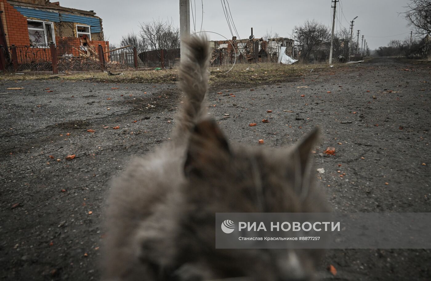 Освобожденные села в Курской области