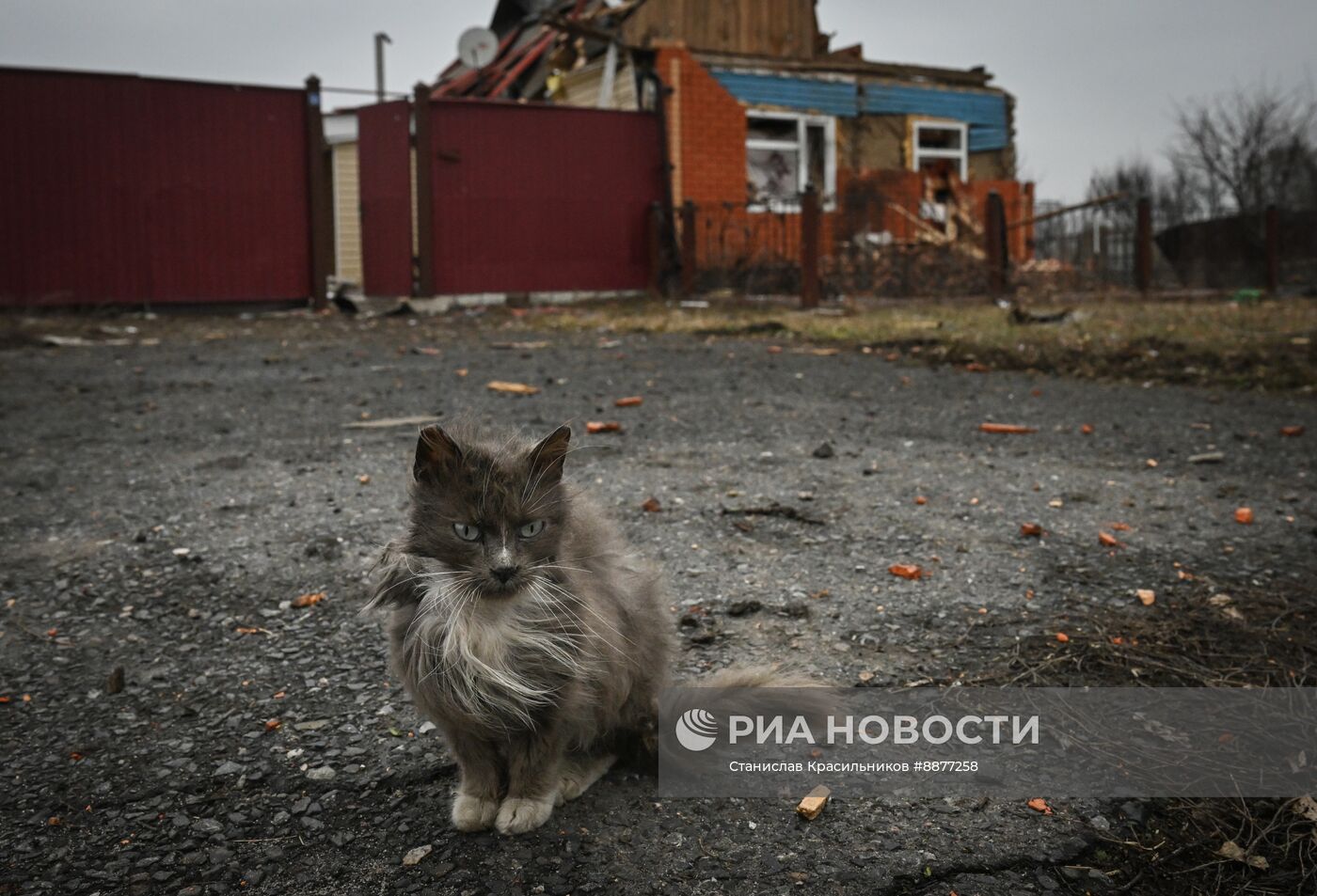 Освобожденные села в Курской области