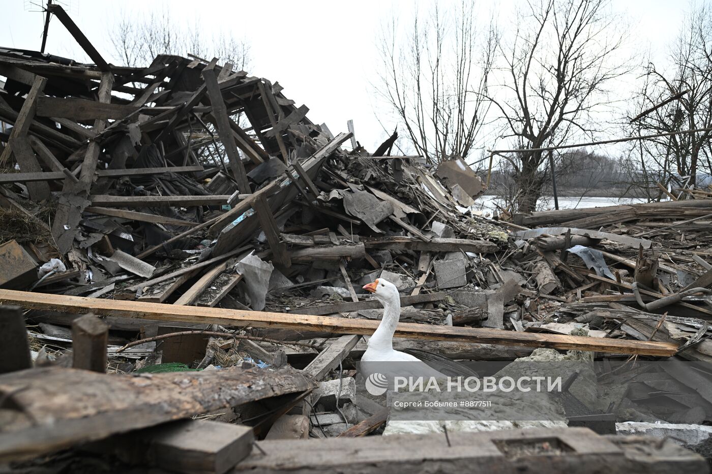 Освобожденные села в Курской области