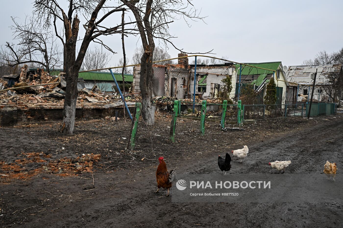 Освобожденные села в Курской области