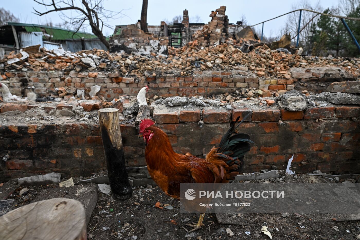 Освобожденные села в Курской области