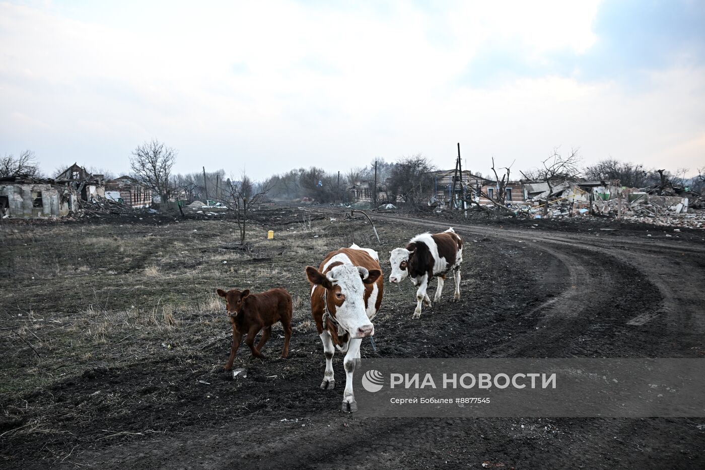 Освобожденные села в Курской области