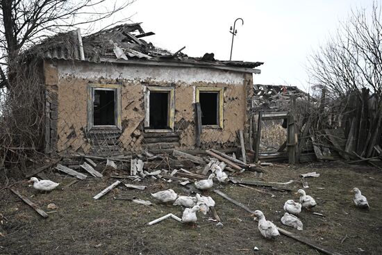 Освобожденные села в Курской области