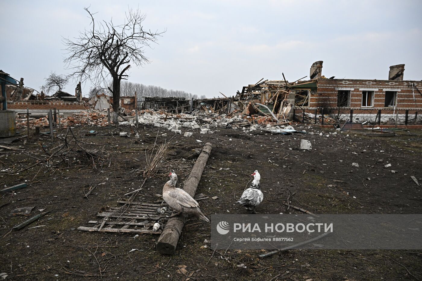 Освобожденные села в Курской области