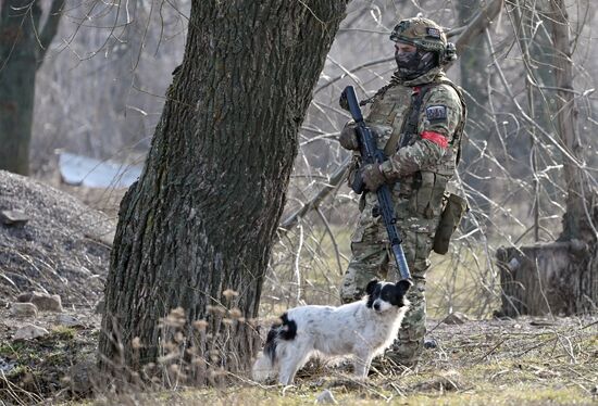 Освобожденные села в Курской области