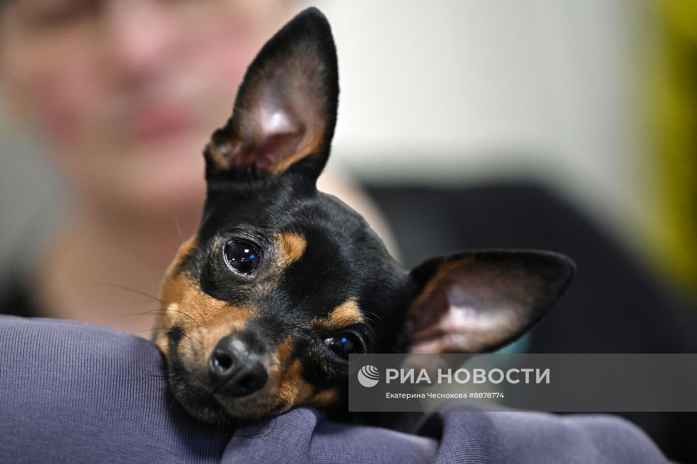 Выставка "Ускользающий сон"