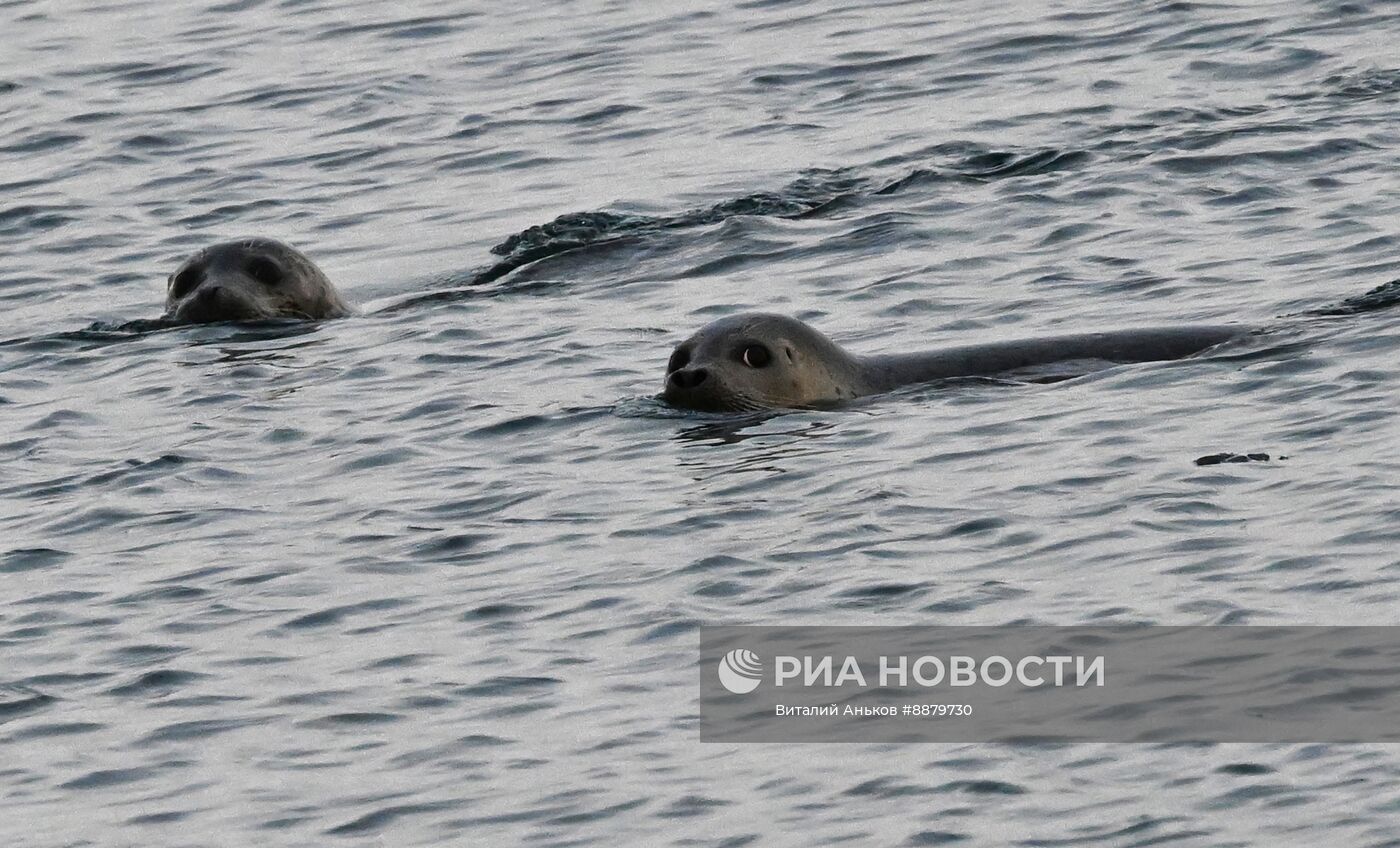 Повседневная жизнь во Владивостоке