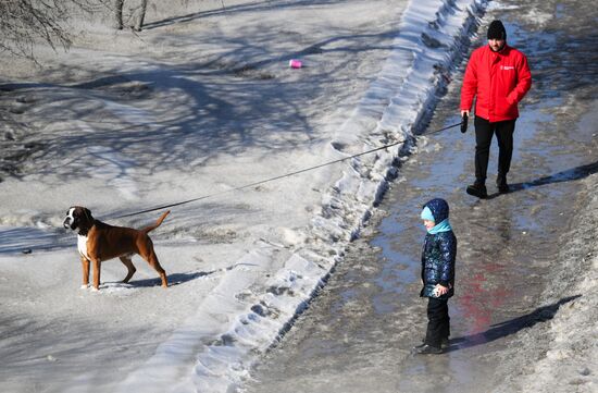 Теплая погода в Новосибирске