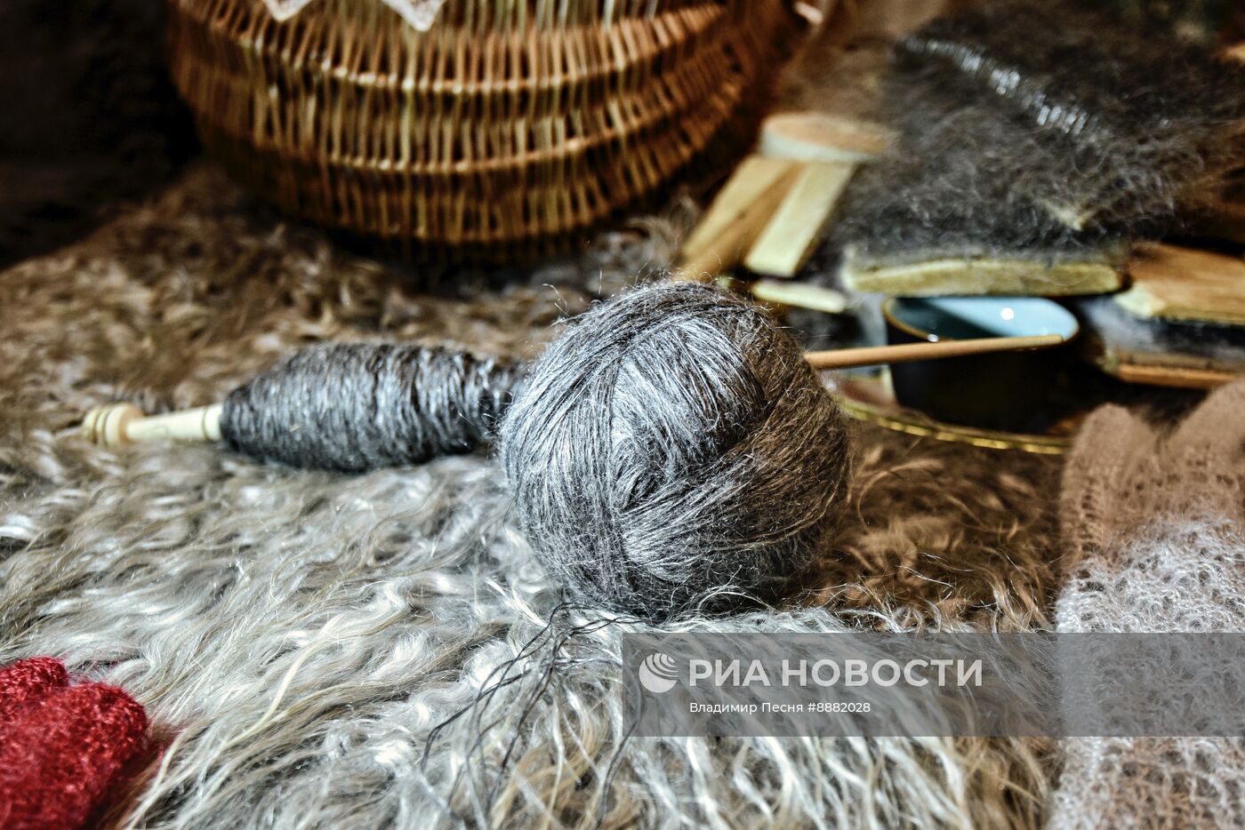 Страна узоров