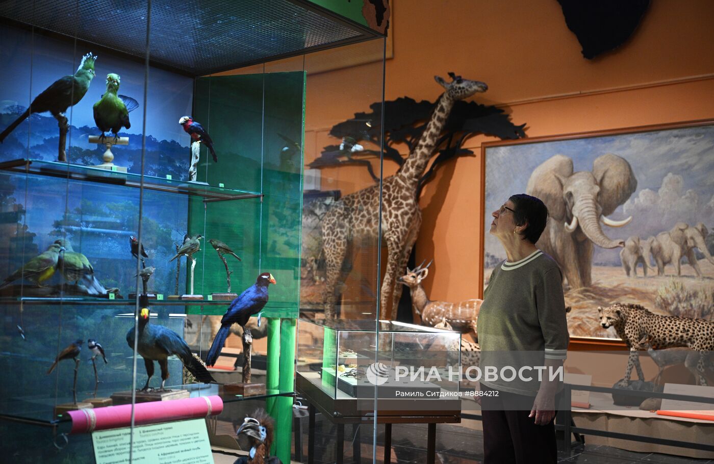 Открытие выставки "Чёрный континент, или путешествие по разноцветной Африке"