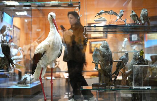 Открытие выставки "Чёрный континент, или путешествие по разноцветной Африке"