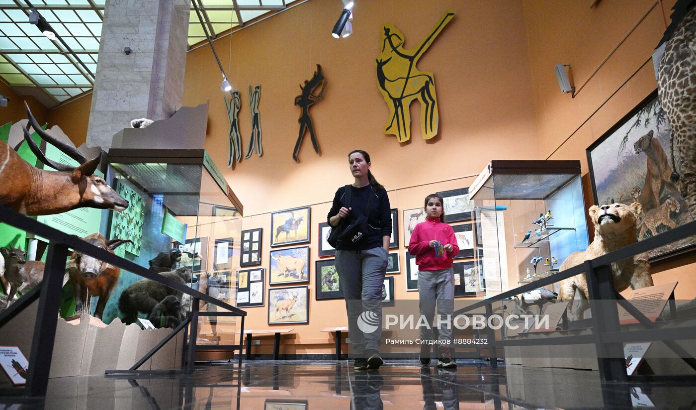 Открытие выставки "Чёрный континент, или путешествие по разноцветной Африке"