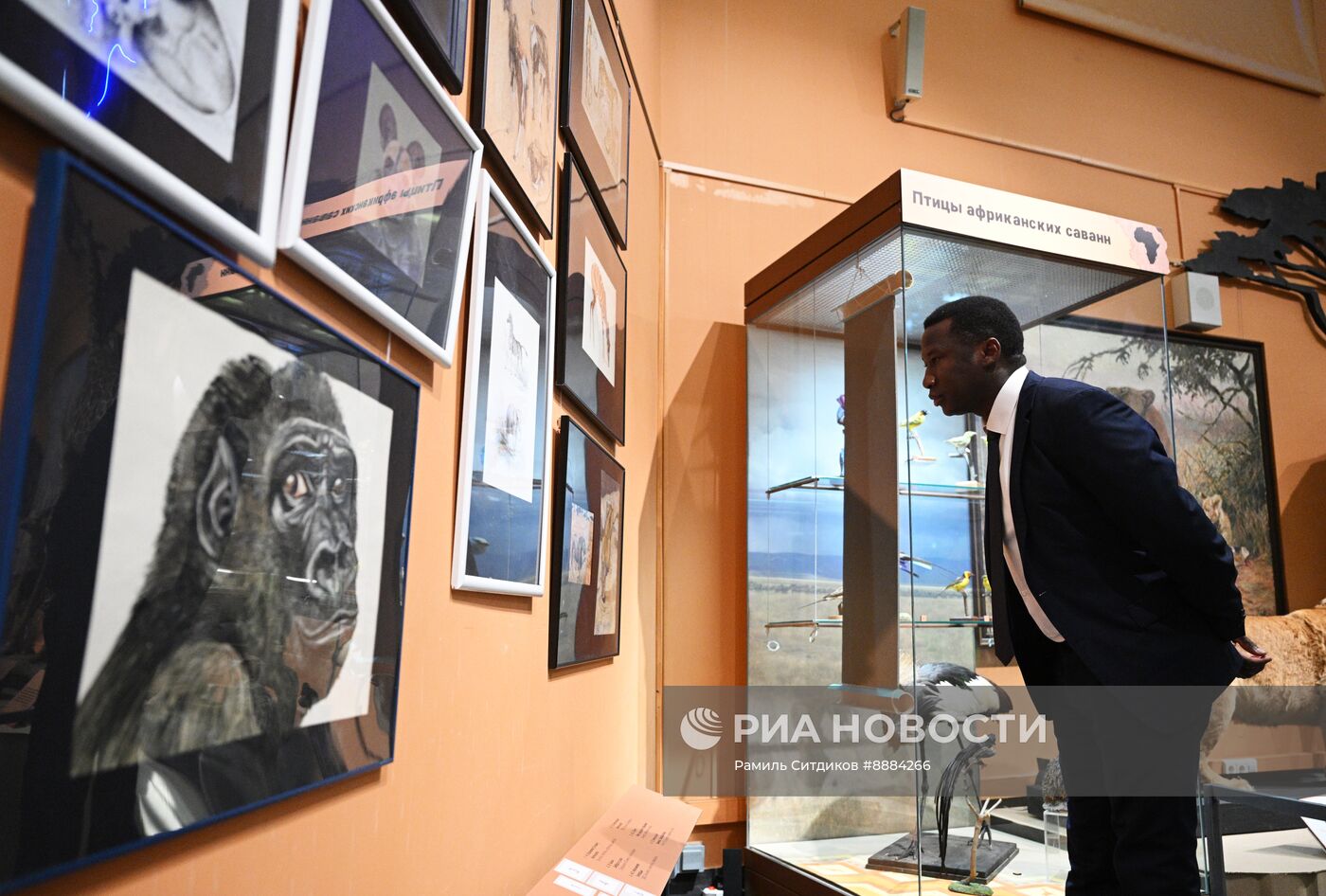 Открытие выставки "Чёрный континент, или путешествие по разноцветной Африке"
