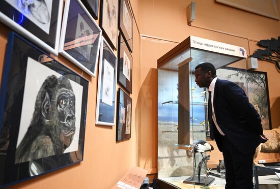 Открытие выставки "Чёрный континент, или путешествие по разноцветной Африке"