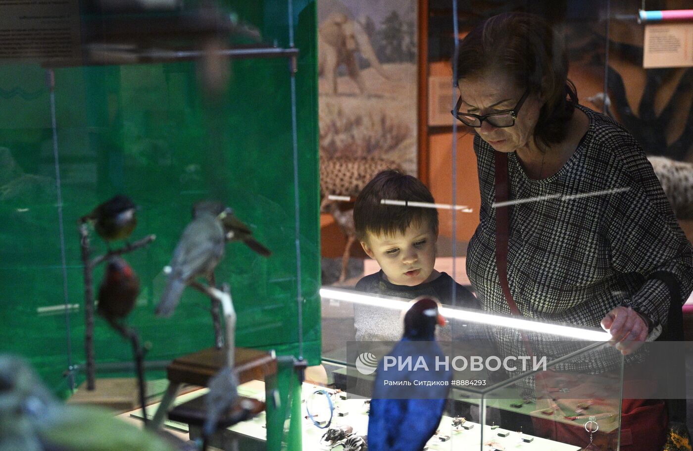 Открытие выставки "Чёрный континент, или путешествие по разноцветной Африке"