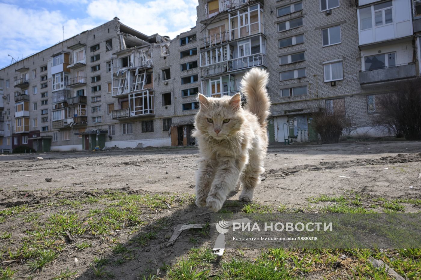 Иностранные журналисты посетили Запорожскую область и зафиксировали последствия обстрелов