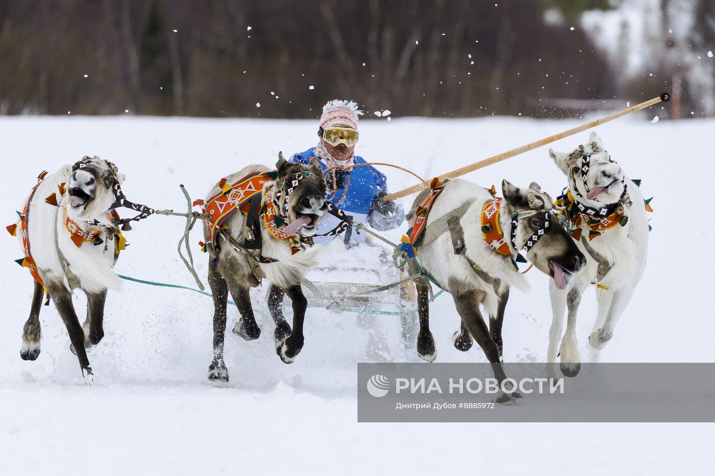 "Праздник Севера" в Мурманской области