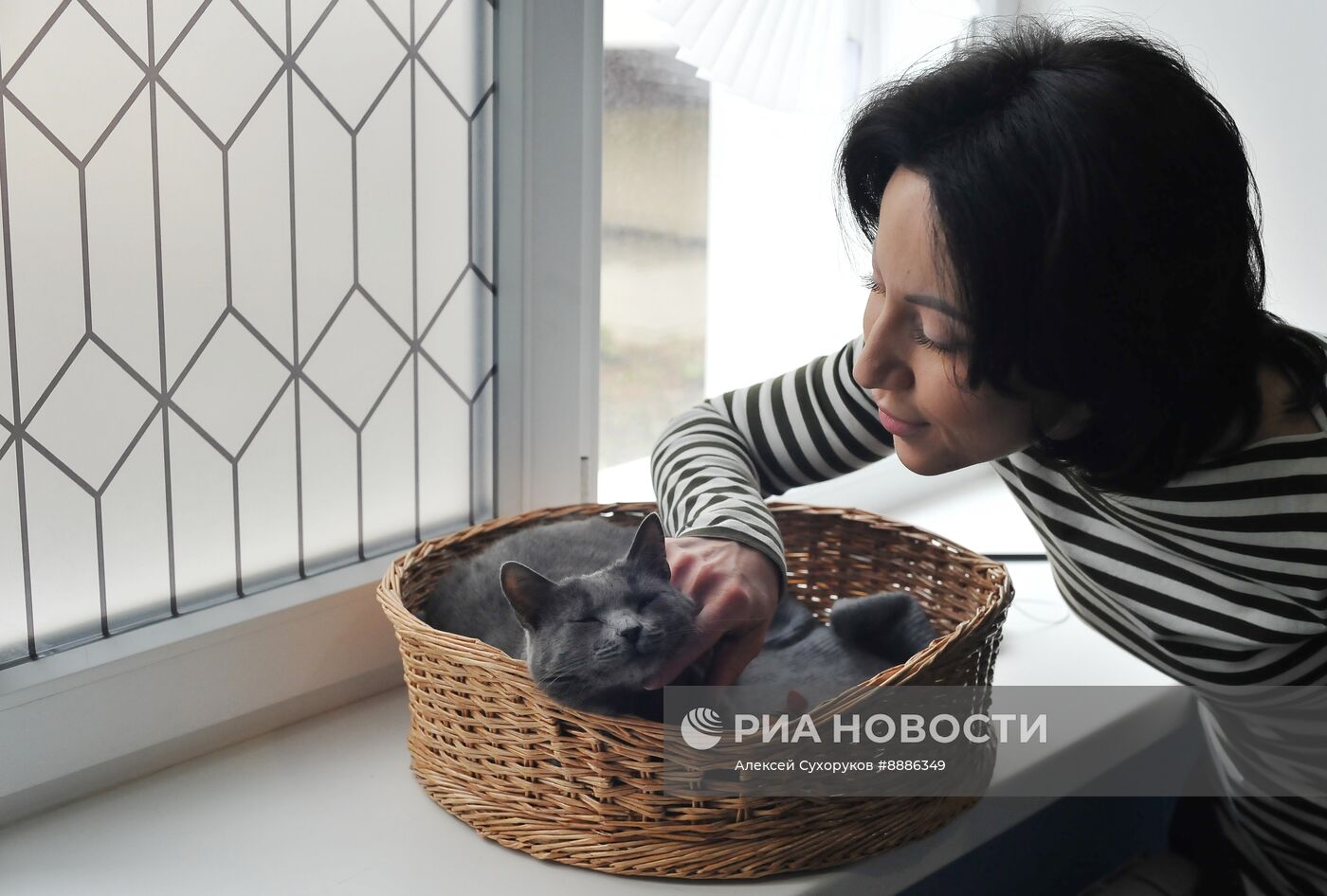 Открытие первого котокафе в Тамбове