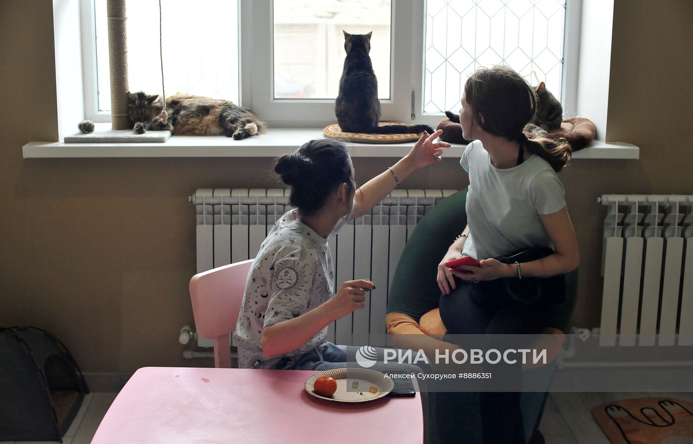 Открытие первого котокафе в Тамбове