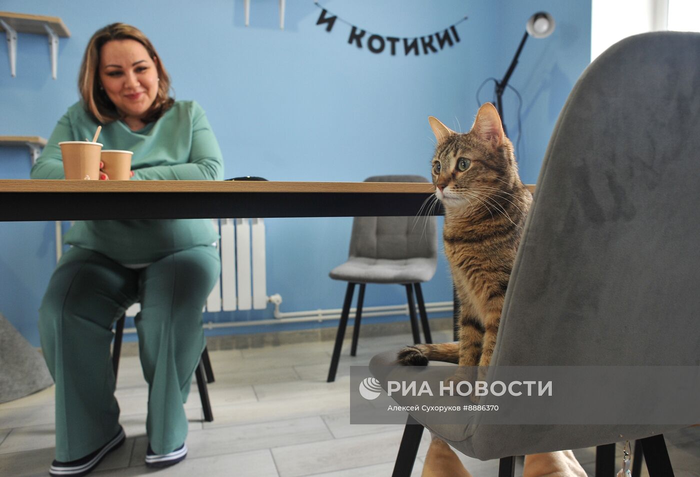 Открытие первого котокафе в Тамбове