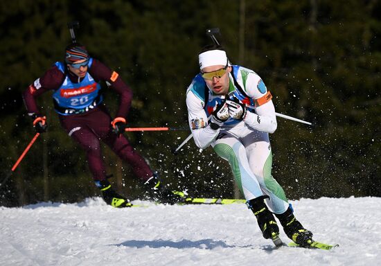 Биатлон. Чемпионат России 2025. Мужчины. Гонка преследования