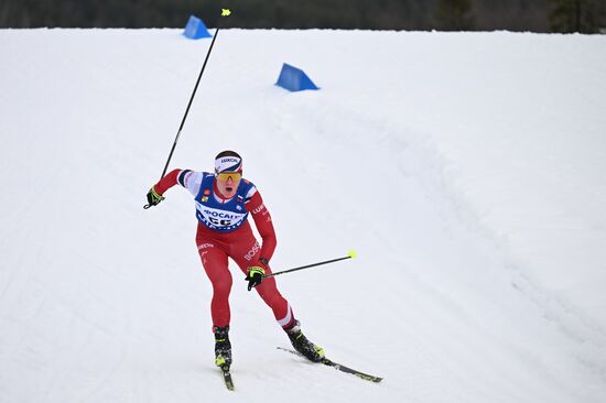 Лыжные гонки. Финал Кубка России. Мужчины. Свободный стиль