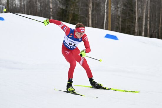 Лыжные гонки. Финал Кубка России. Мужчины. Свободный стиль