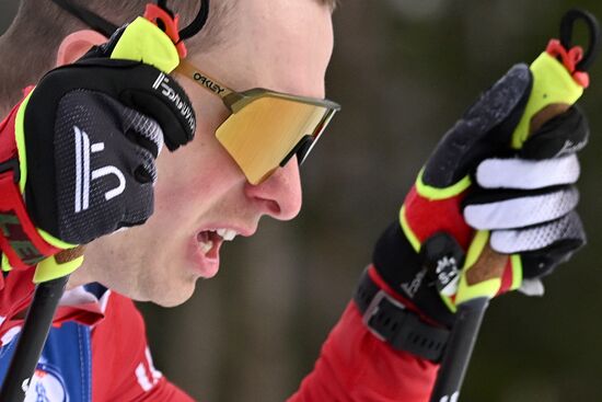 Лыжные гонки. Финал Кубка России. Мужчины. Свободный стиль