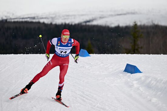Лыжные гонки. Финал Кубка России. Мужчины. Свободный стиль
