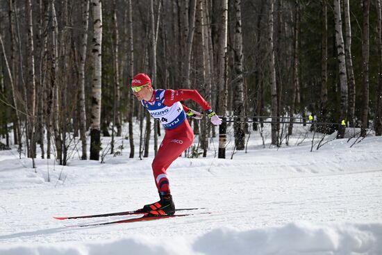 Лыжные гонки. Финал Кубка России. Мужчины. Свободный стиль