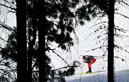 Биатлон. Чемпионат России 2025. Мужчины. Эстафета