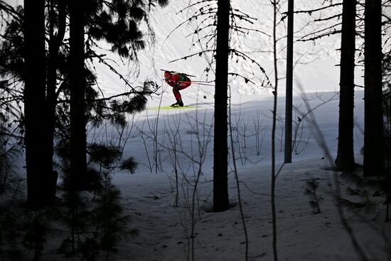 Биатлон. Чемпионат России 2025. Мужчины. Эстафета