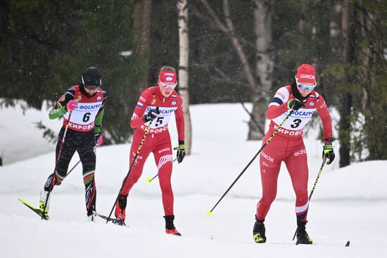 Лыжные гонки. Финал Кубка России. Женщины. Гонка преследования 