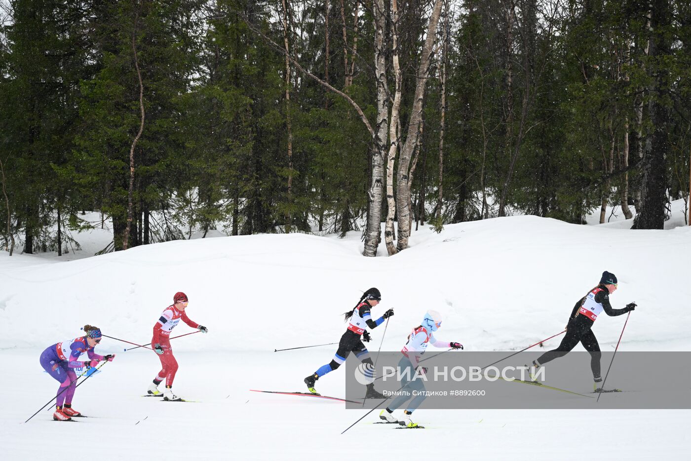Лыжные гонки. Финал Кубка России. Женщины. Гонка преследования 