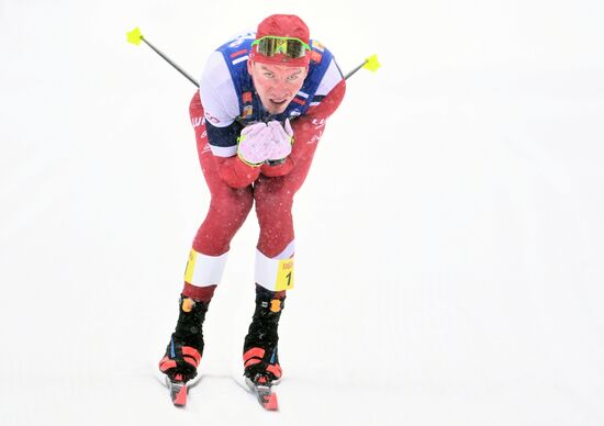 Лыжные гонки. Финал Кубка России. Мужчины. Гонка преследования