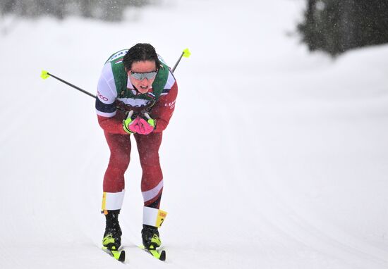 Лыжные гонки. Финал Кубка России. Мужчины. Гонка преследования