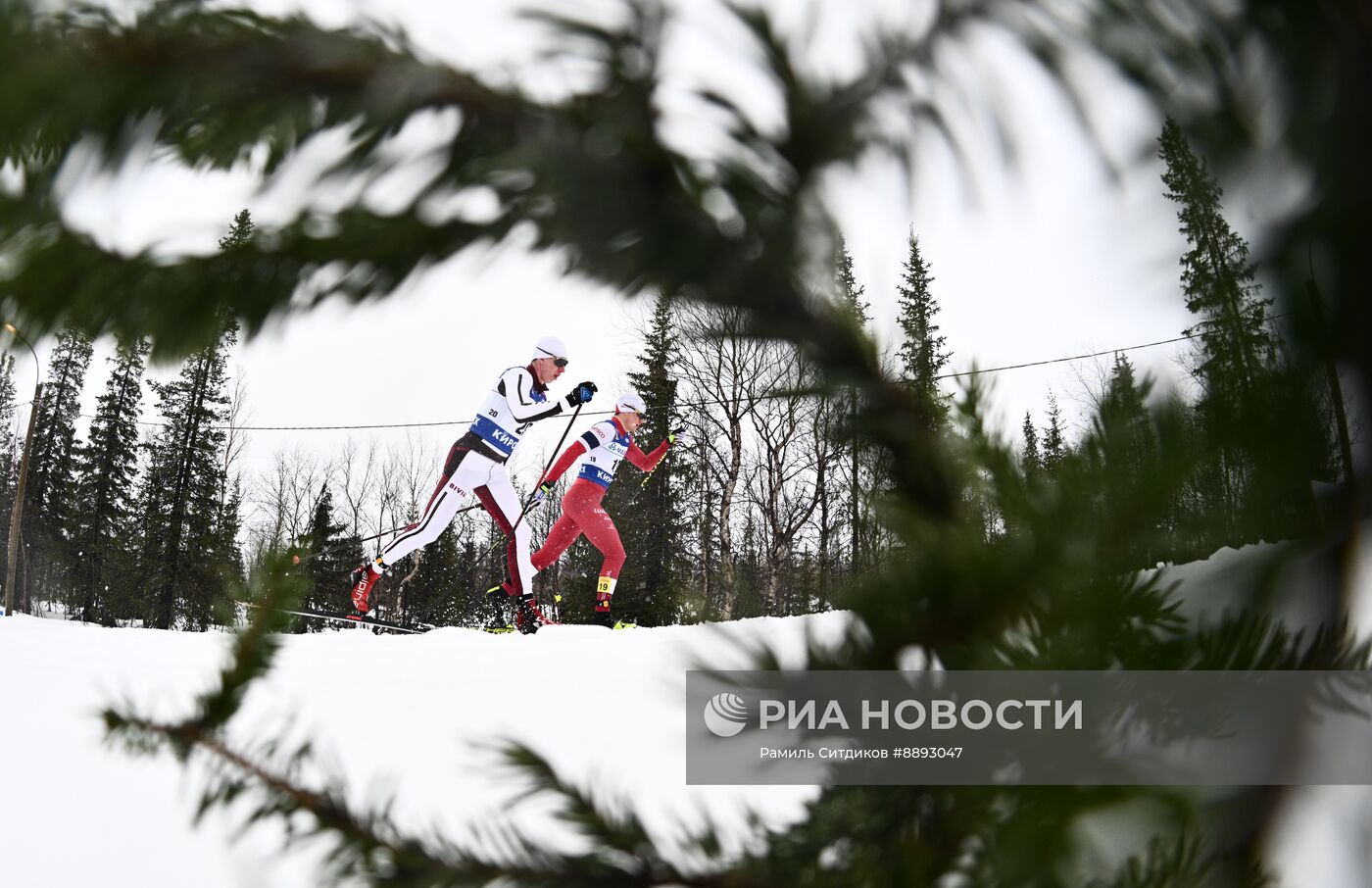 Лыжные гонки. Финал Кубка России. Мужчины. Гонка преследования