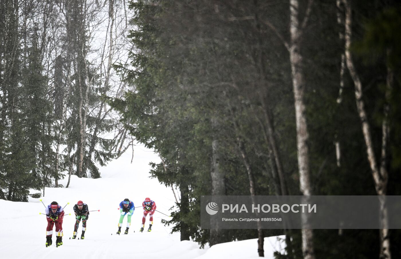 Лыжные гонки. Финал Кубка России. Мужчины. Гонка преследования