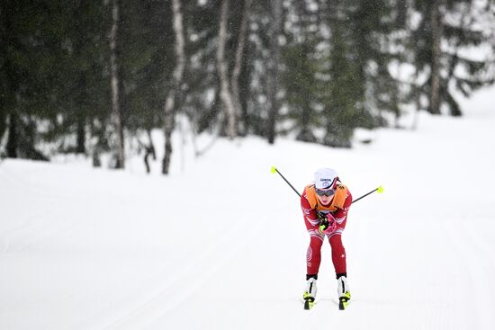Лыжные гонки. Финал Кубка России. Женщины. Гонка преследования 