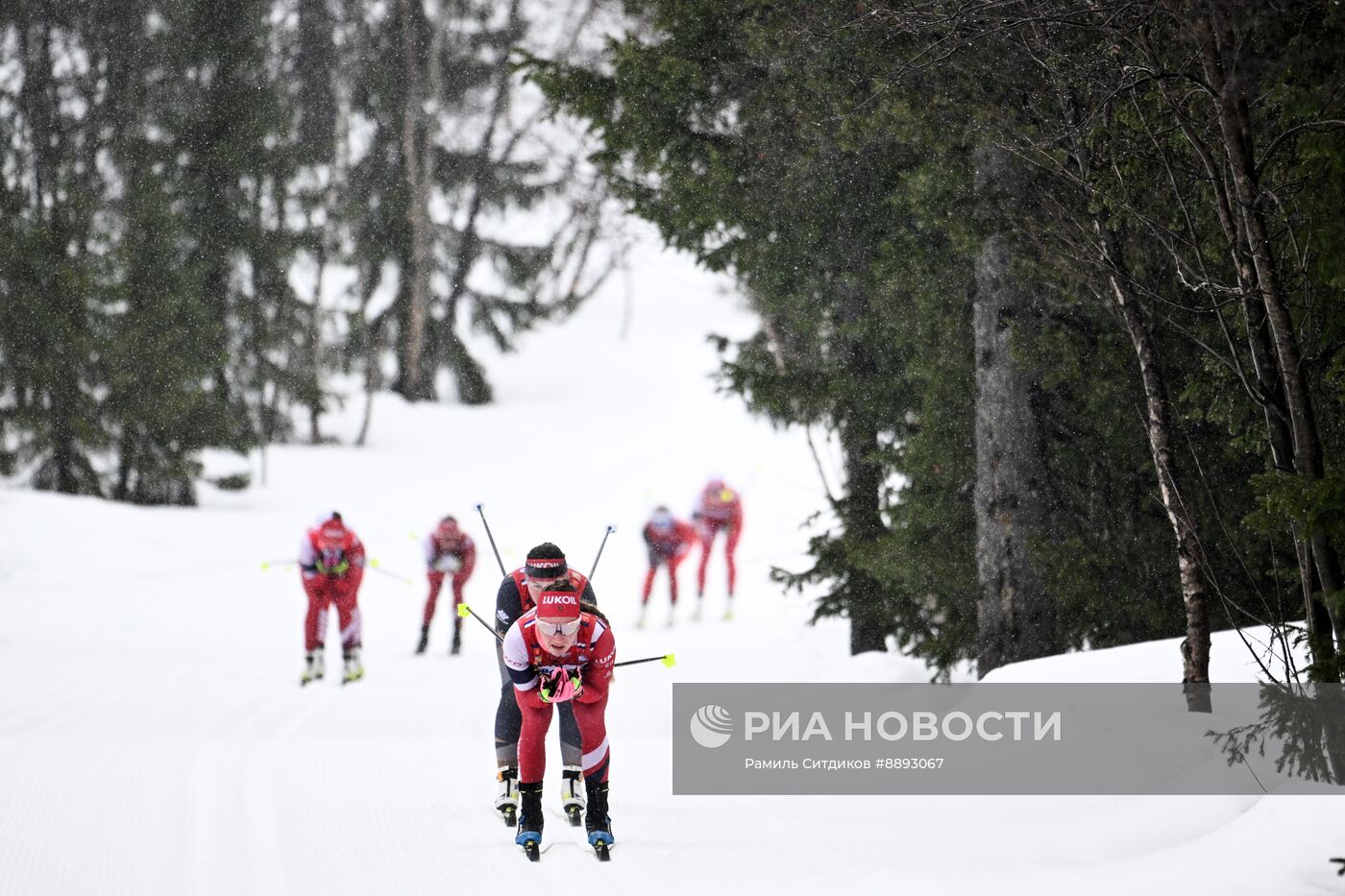 Лыжные гонки. Финал Кубка России. Женщины. Гонка преследования 