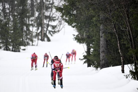 Лыжные гонки. Финал Кубка России. Женщины. Гонка преследования 