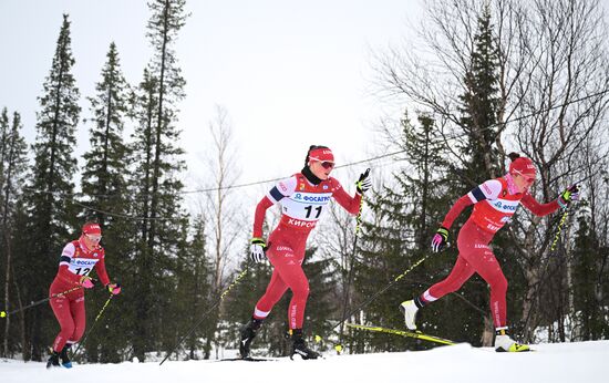 Лыжные гонки. Финал Кубка России. Женщины. Гонка преследования 