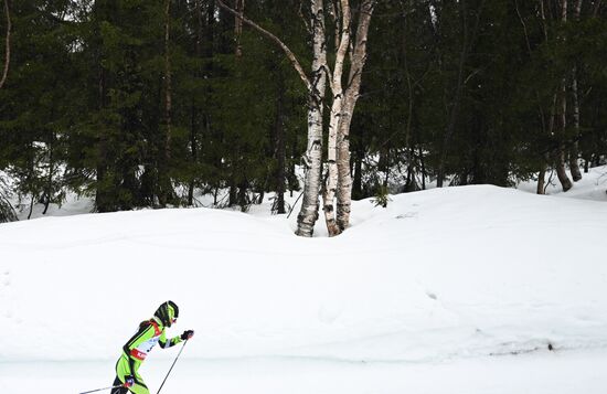 Лыжные гонки. Финал Кубка России. Женщины. Гонка преследования 