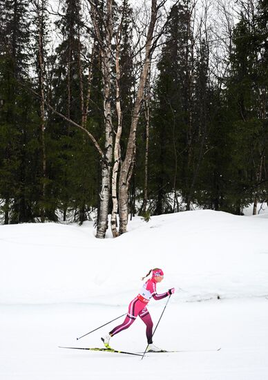 Лыжные гонки. Финал Кубка России. Женщины. Гонка преследования 