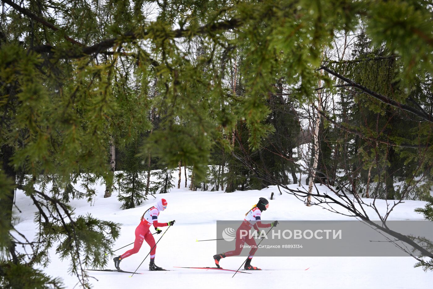Лыжные гонки. Финал Кубка России. Женщины. Гонка преследования 
