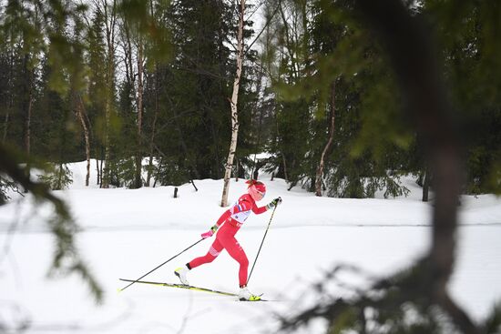 Лыжные гонки. Финал Кубка России. Женщины. Гонка преследования 