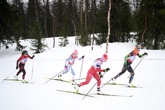 Лыжные гонки. Финал Кубка России. Женщины. Гонка преследования 
