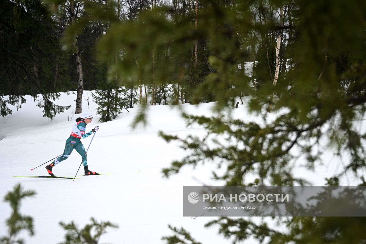 Лыжные гонки. Финал Кубка России. Женщины. Гонка преследования 