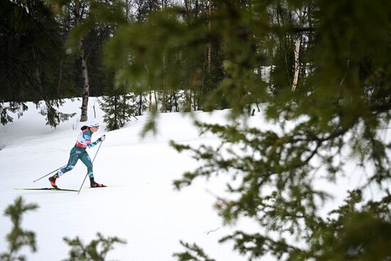 Лыжные гонки. Финал Кубка России. Женщины. Гонка преследования 